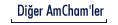 Diğer Amcham'ler